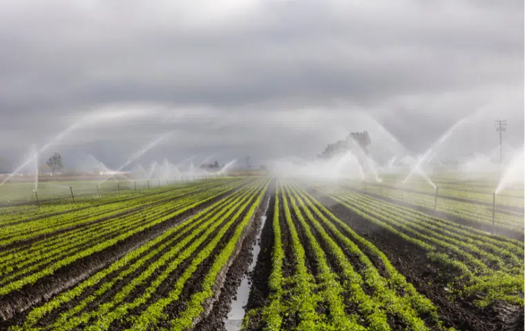 AGAU025PO, Usuario profesional de productos fitosanitarios, Nivel básico, Andalucía