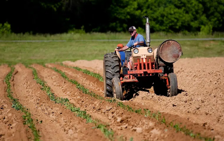El suelo de cultivo y las condiciones climáticas