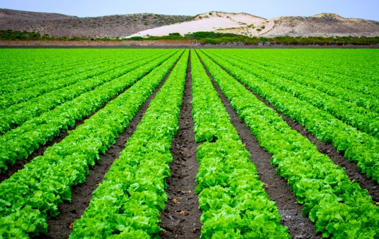 Informática aplicada a la gestión de explotaciones agraria