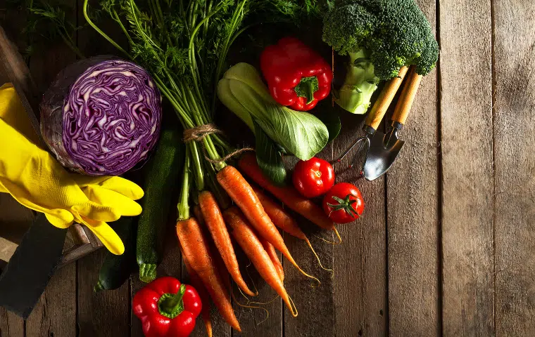 UF0021, Mantenimiento y mejora de elementos vegetales