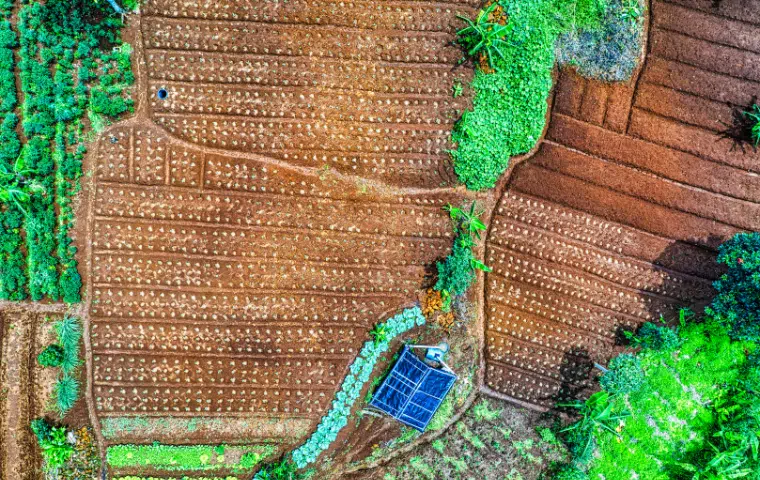 Uf0001: el suelo de cultivo y las condiciones climáticas