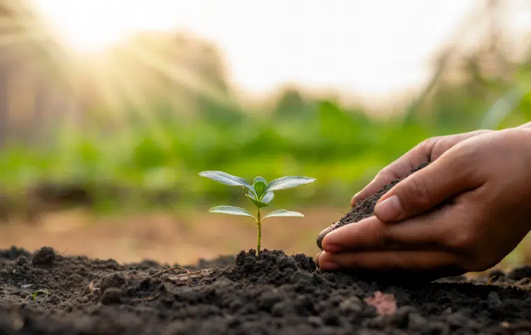 Uf0006: determinación del estado sanitario de las plantas, suelo e instalaciones y elección de los métodos de control