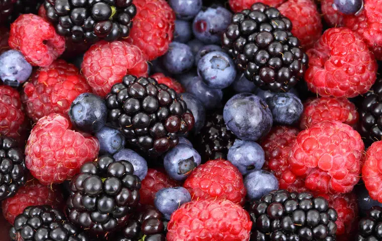 Uf0013: recolección, transporte, almacenamiento y acondicionamiento de la fruta
