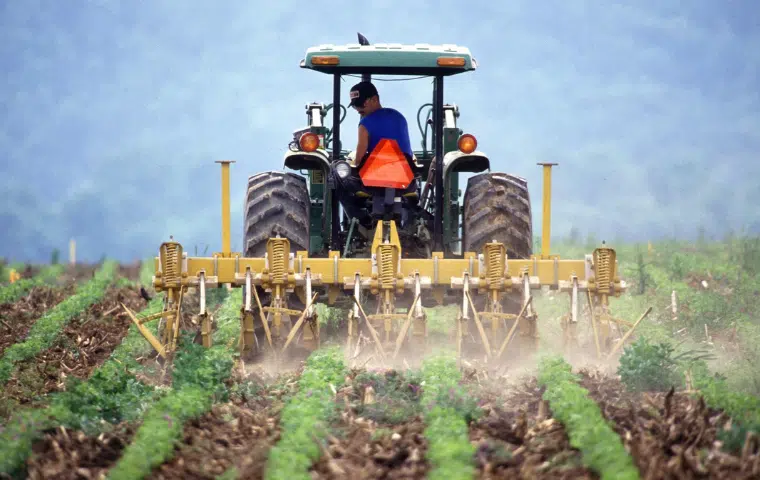 Uf0161: operaciones auxiliares de abonado y aplicación de tratamientos en cultivos agricolas