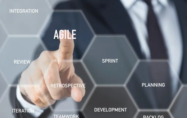 ADGD46. Agile management.