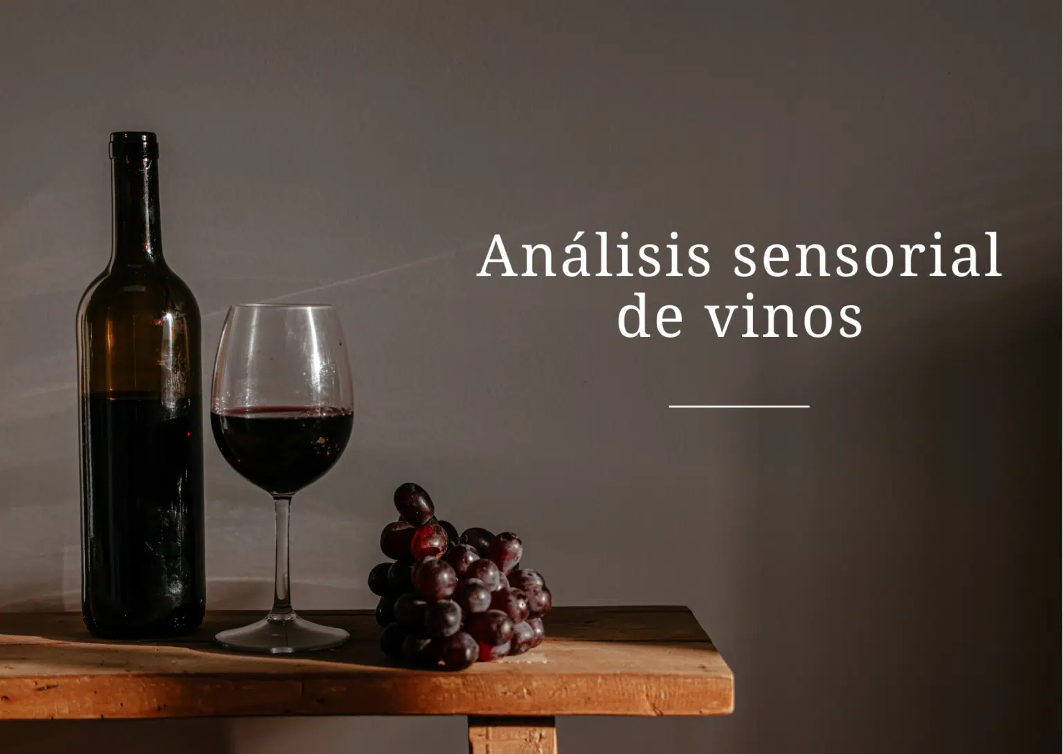 HOTR001PO. Análisis sensorial de vinos