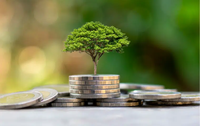Digitalización de la empresa y economía verde