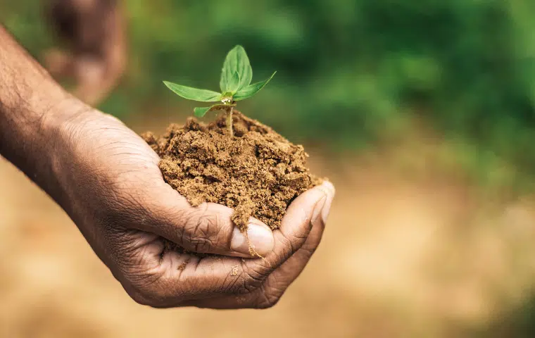 Ejecución práctica de la Evaluación de Impacto Ambiental