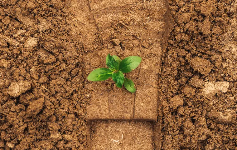 Estudio del medio físico. Criterios y bases de la evaluación de impacto ambiental