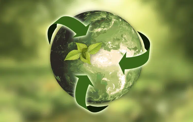 Gestión ambiental y desarrollo sostenible