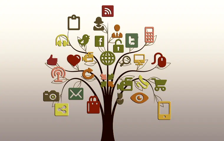 Marketing-Mix básico en Internet y gestión online de clientes. COMM088PO