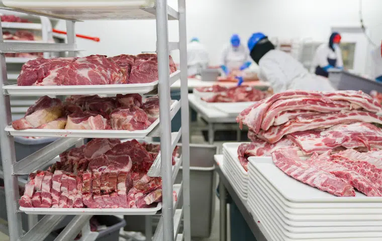 Manipulación en crudo y conservación de alimentos.
