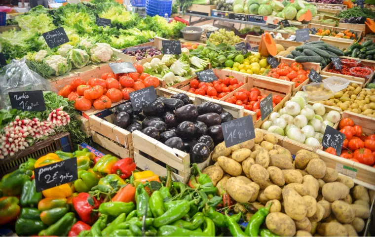 Normativa de Conservación de los Alimentos y Aplicación a los Equipos de Control.