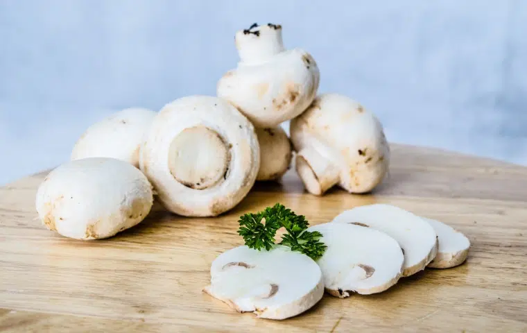 Preelaboración y conservación de vegetales y setas