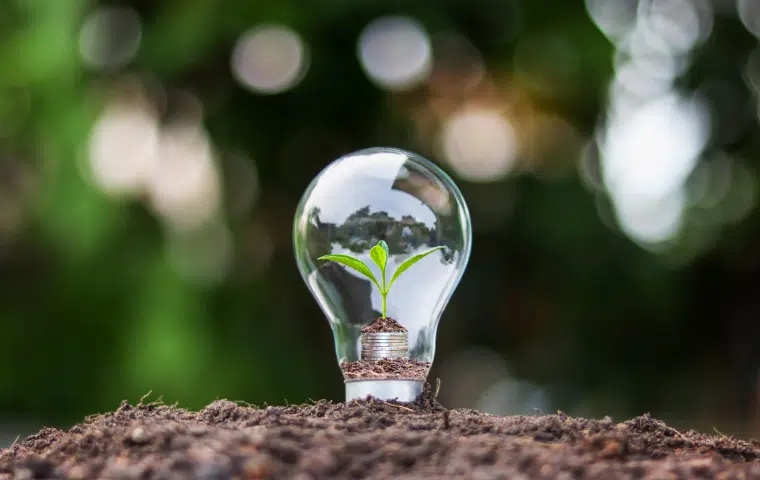 Promoción del uso eficiente de la energía