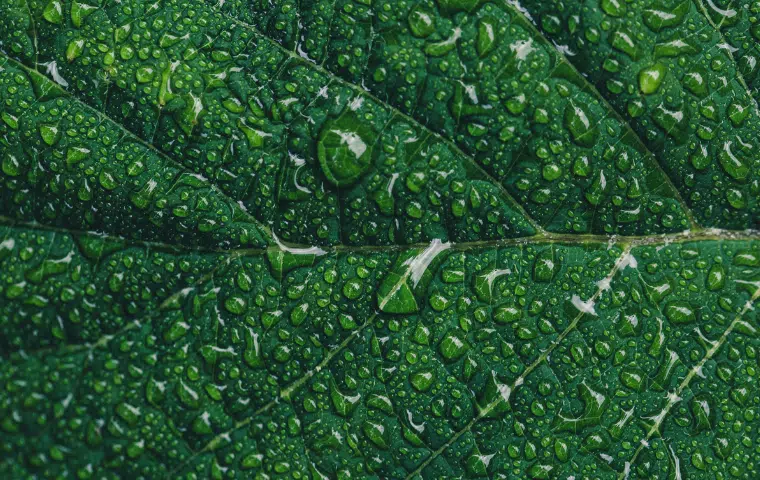 Sistema de Gestión Ambiental, Calidad y PRL