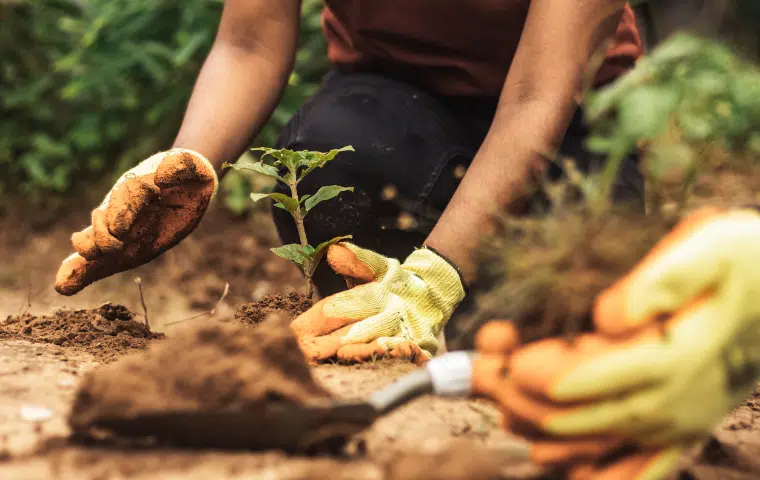 Sistemática y procedimiento técnico secuencial de la evaluación de impacto ambiental