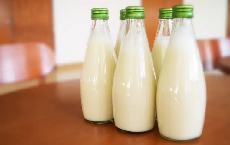 Tratamientos previos de la leche