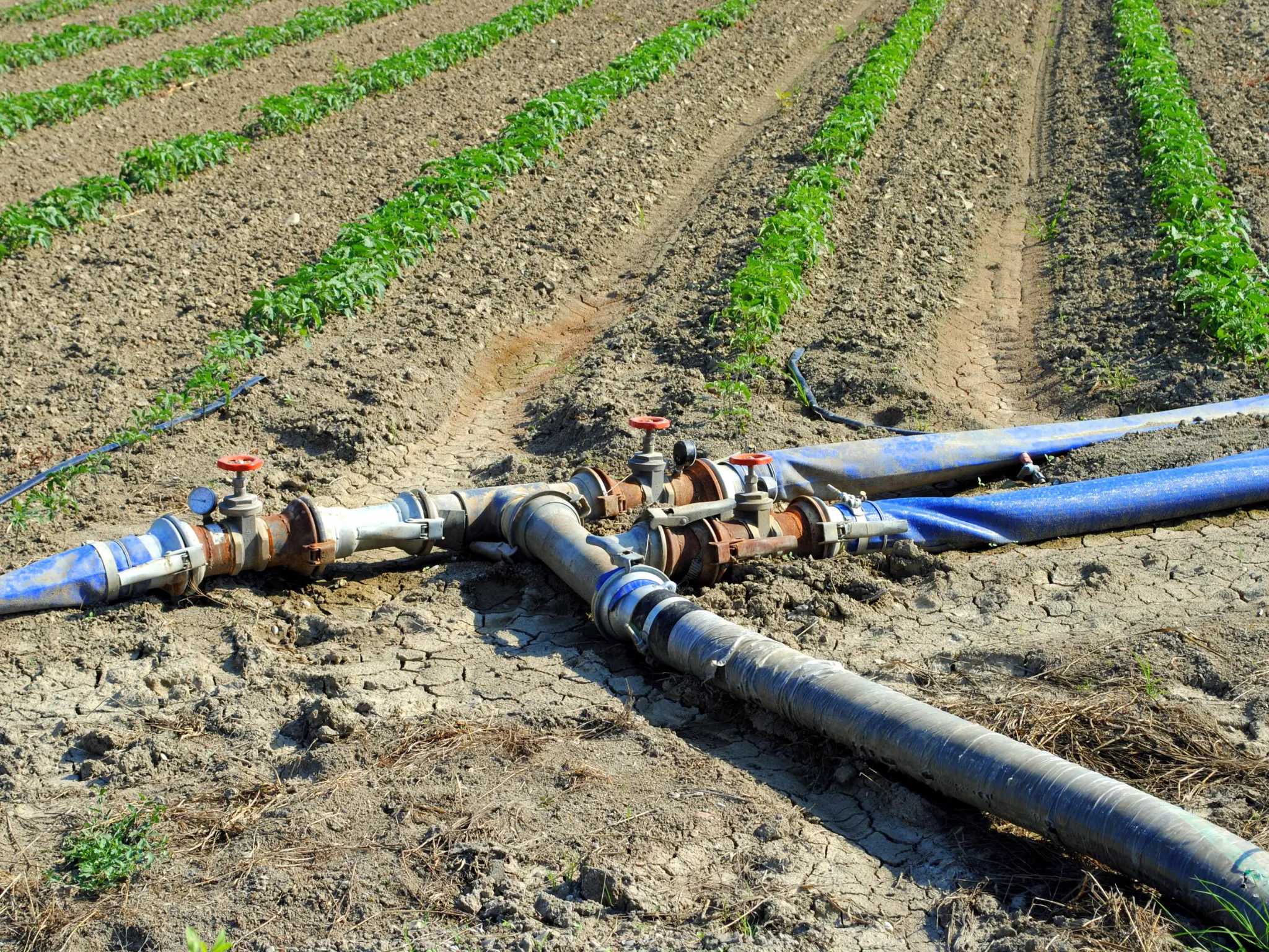 AGAU020PO. Uso eficiente del agua en el sector agrario
