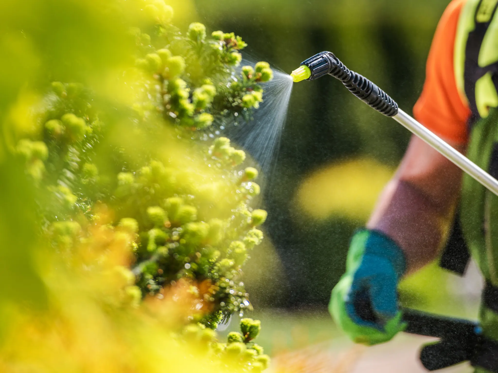AGAU001PO. Abonado y fertilización en agricultura ecológica