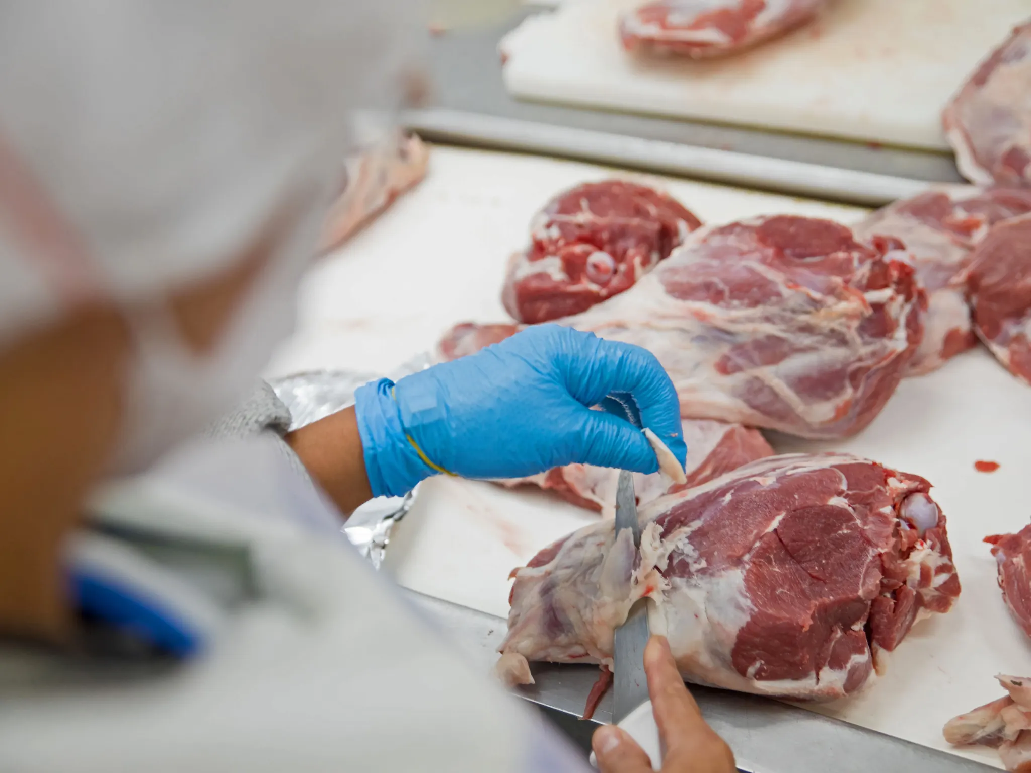 INAD066PO. Seguridad laboral y calidad alimentaria en el comercio minorista de cárnicos y derivados.